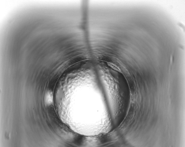 X0000093770095200710301214