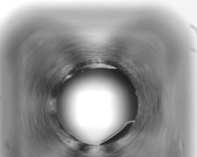 X0000093770096200710301214