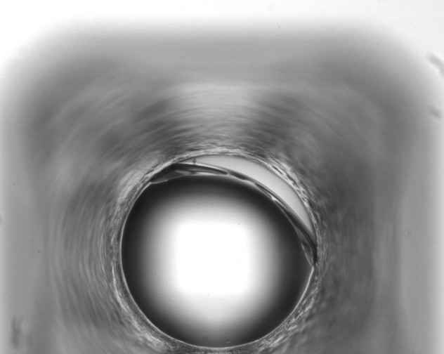 X0000093770097200710301213