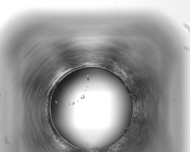 X0000093770098200710301213