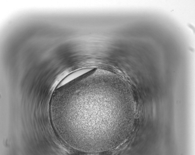 X0000093770099200710301213