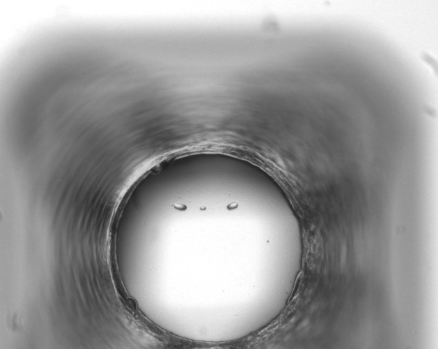 X0000093770100200710301213