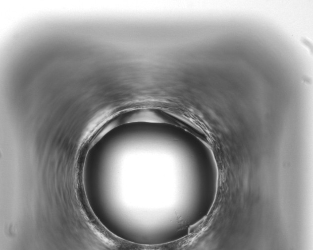 X0000093770101200710301213