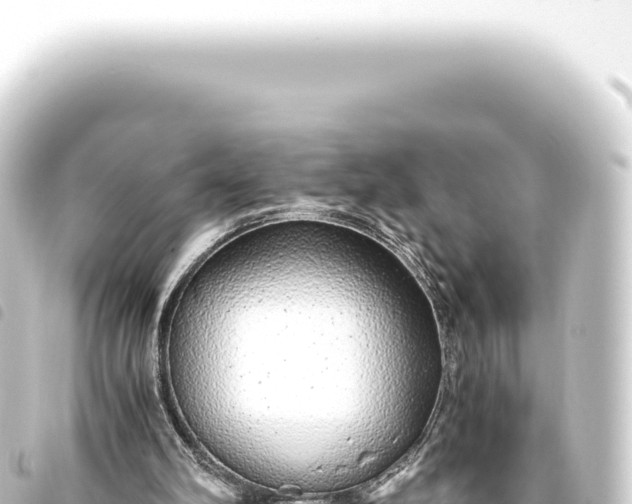 X0000093770102200710301213