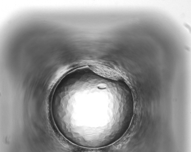 X0000093770103200710301213