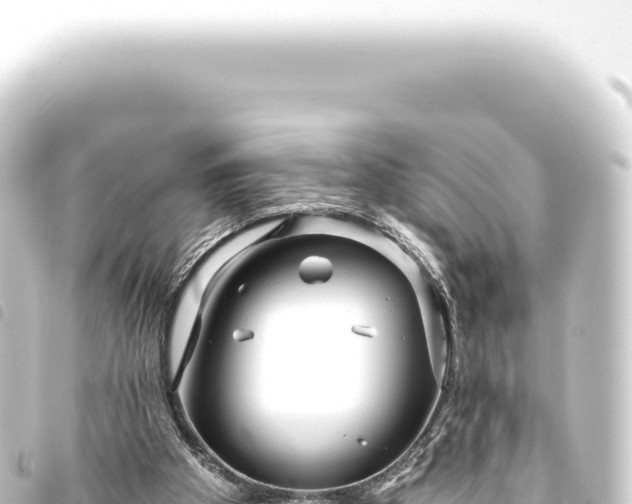 X0000093770105200710301213