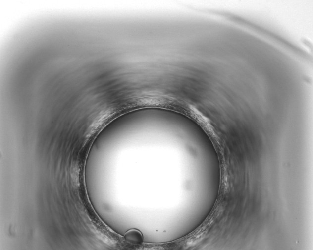 X0000093770106200710301213