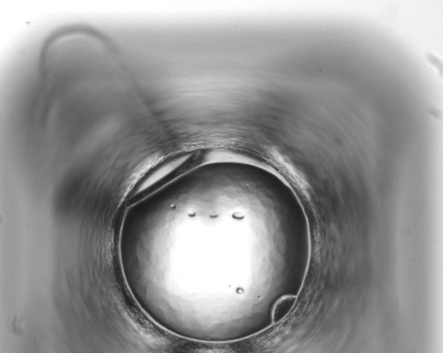 X0000093770107200710301213