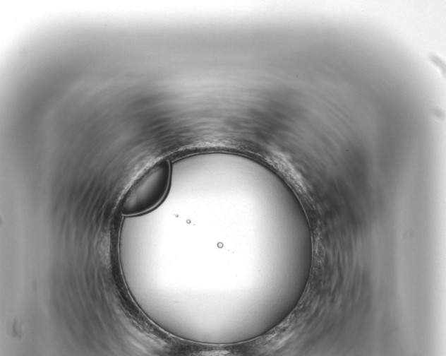 X0000093770108200710301213