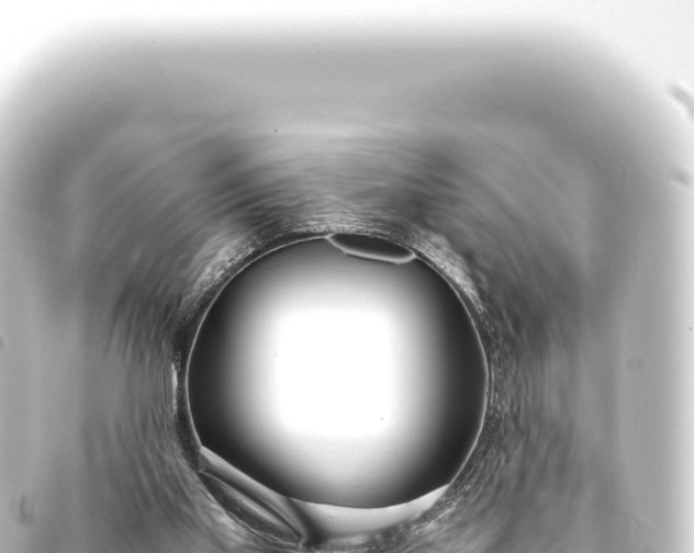 X0000093770109200710301213