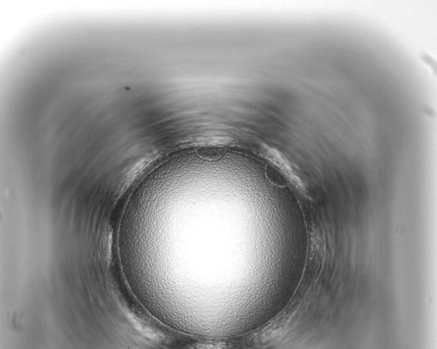 X0000093770110200710301213