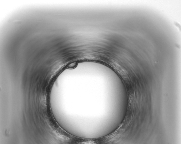 X0000093770112200710301213