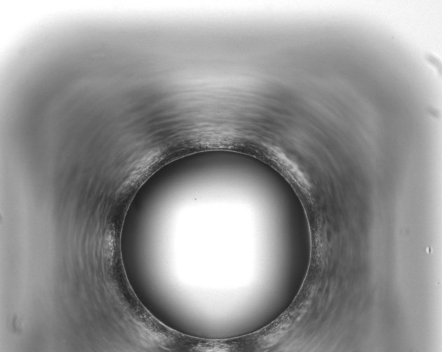 X0000093770113200710301213