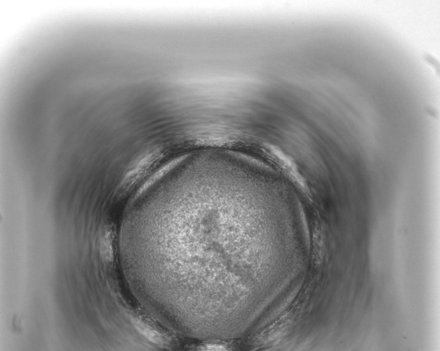 X0000093770114200710301213