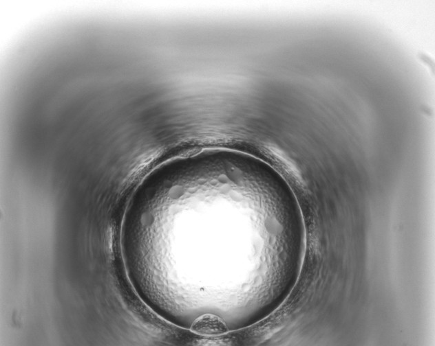 X0000093770115200710301213