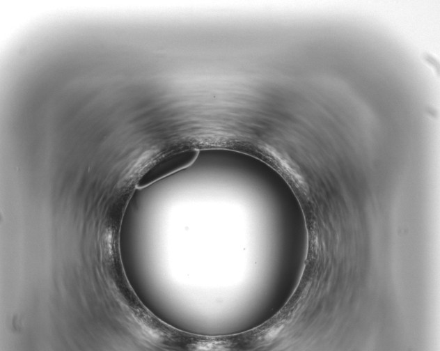 X0000093770117200710301213