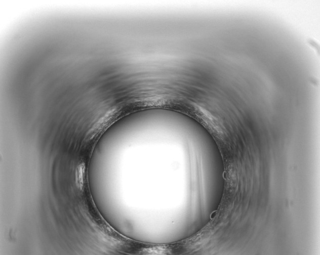 X0000093770118200710301213