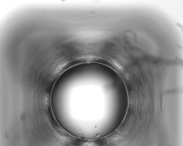 X0000093770119200710301213