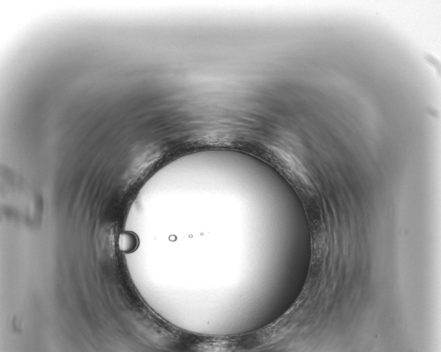 X0000093770120200710301213