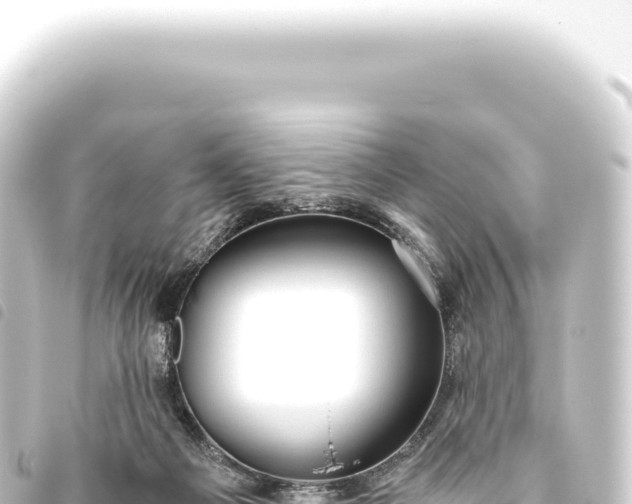 X0000093770121200710301213