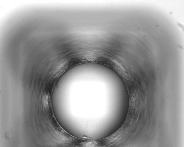 X0000093770122200710301213