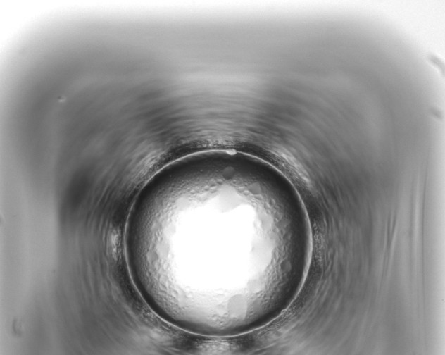 X0000093770123200710301213