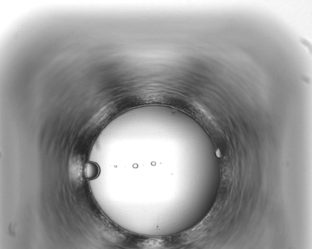 X0000093770124200710301213