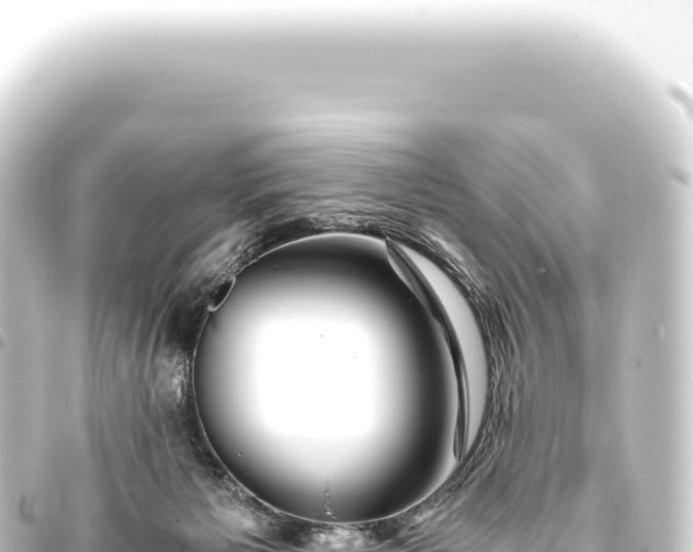 X0000093770125200710301213