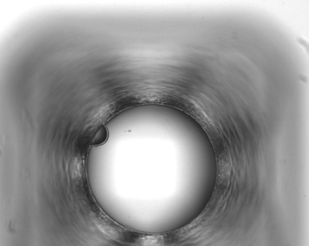 X0000093770126200710301213