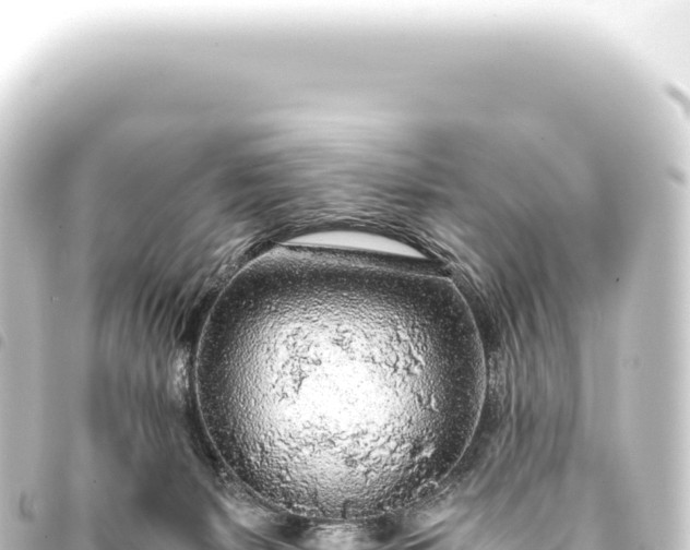 X0000093770127200710301213