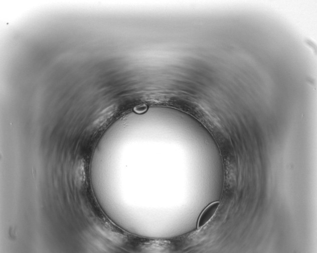 X0000093770128200710301213