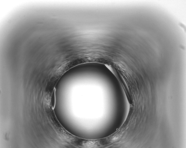 X0000093770129200710301213