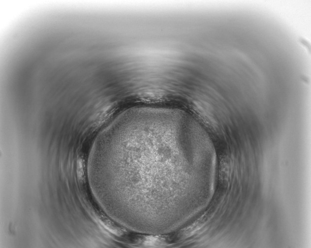 X0000093770130200710301213