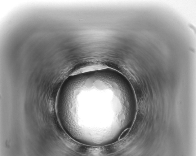 X0000093770131200710301213