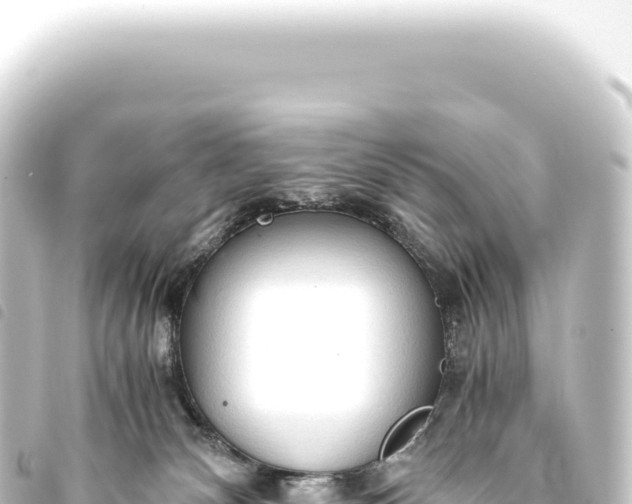 X0000093770132200710301213