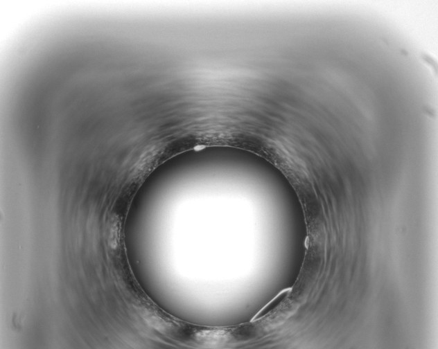 X0000093770133200710301213