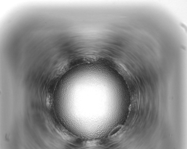 X0000093770134200710301213