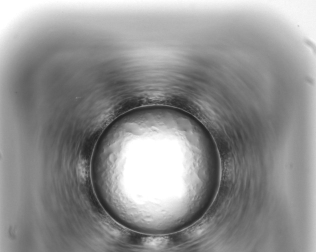 X0000093770135200710301213