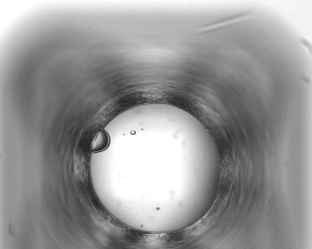 X0000093770136200710301213