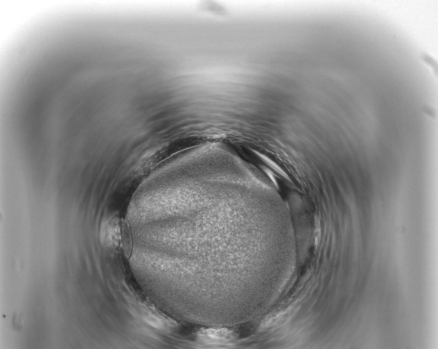 X0000093770137200710301213