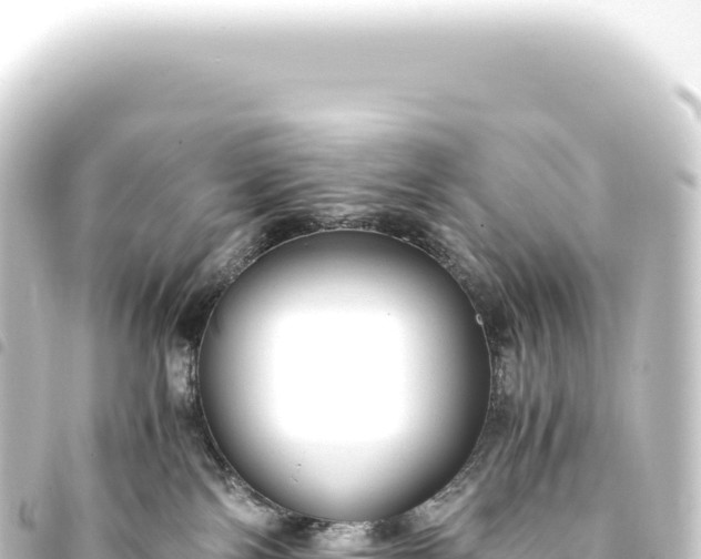 X0000093770138200710301213