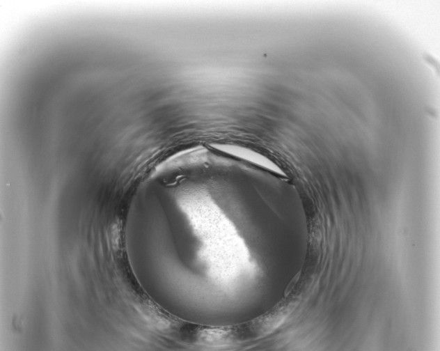 X0000093770139200710301213