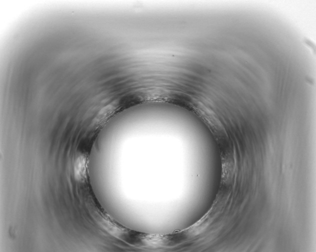 X0000093770142200710301213