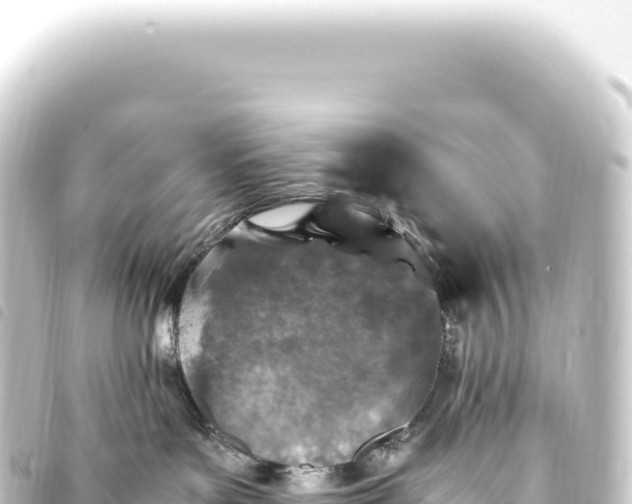 X0000093770143200710301213