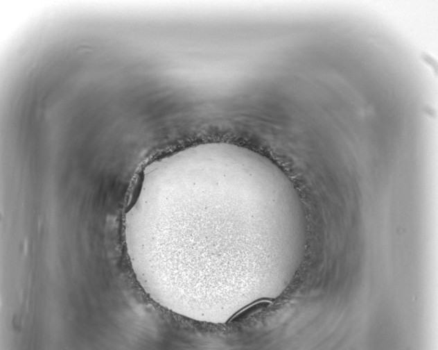 X0000093770144200710301213