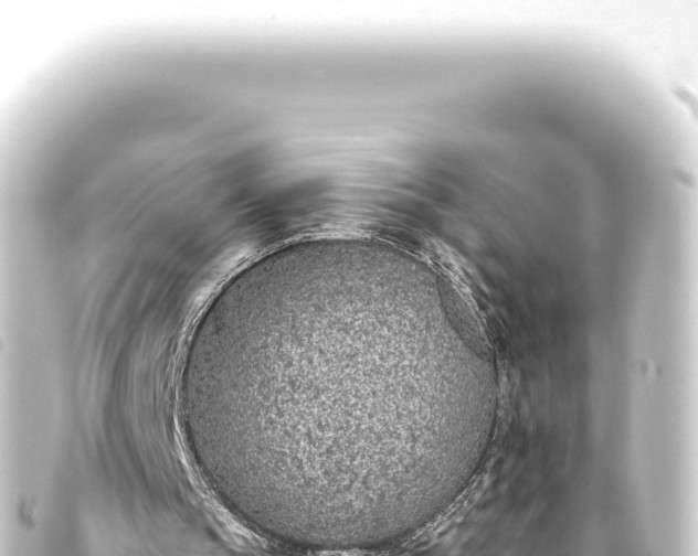 X0000093770145200710301212