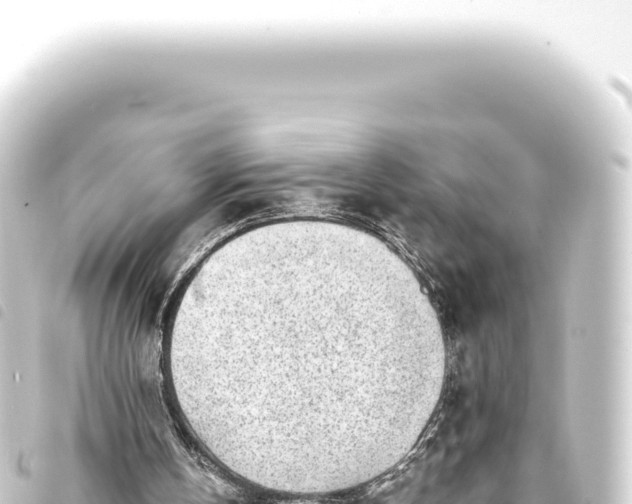 X0000093770146200710301212