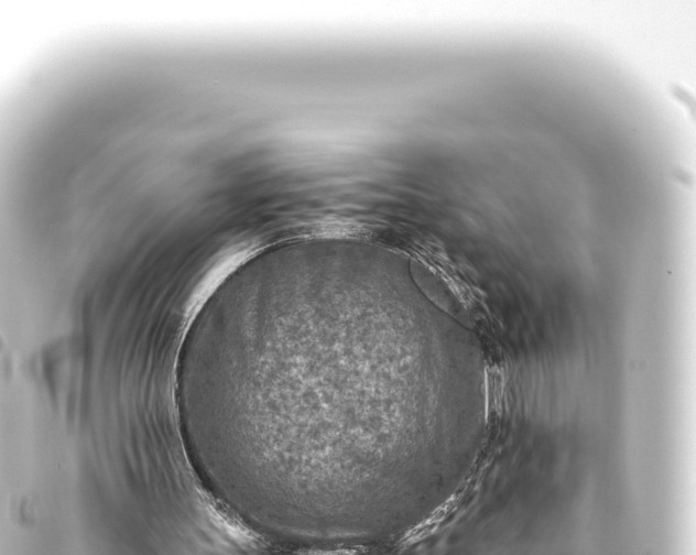 X0000093770147200710301212