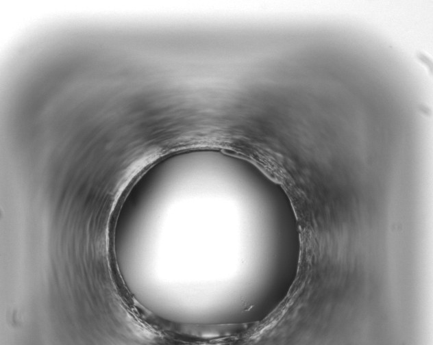 X0000093770148200710301212