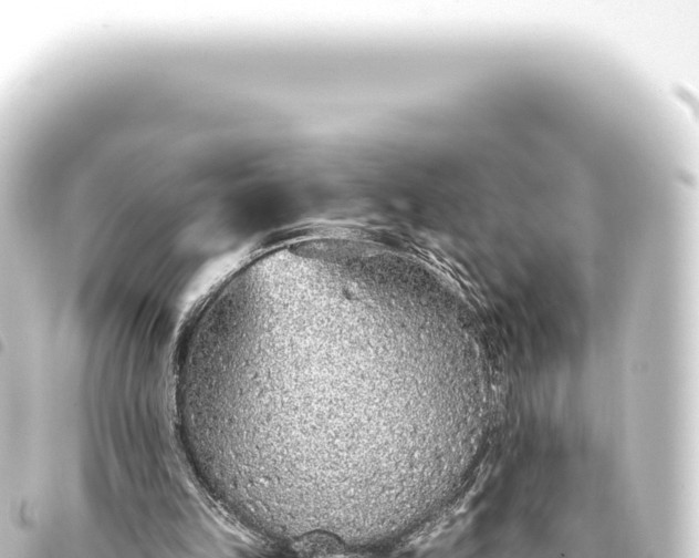 X0000093770149200710301212